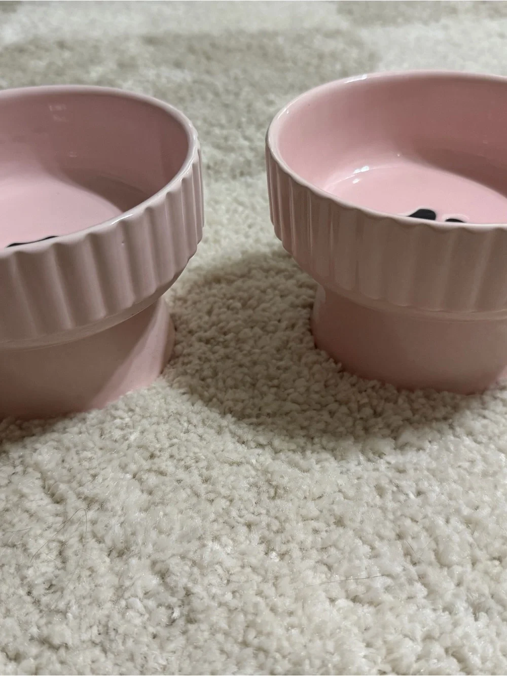 Pink Cat Paw Raised Pet Bowl Set
